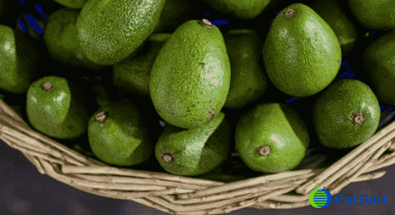 images/1726212337968avocado processing, packaging.png